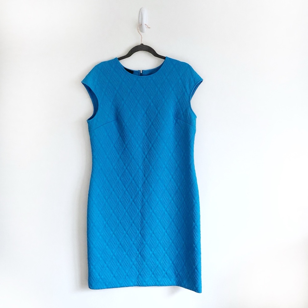 Donna Morgan SZ 14 Sheath